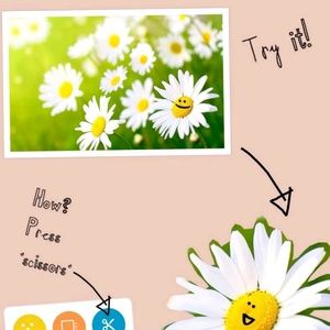 Meet your Posher, Diana